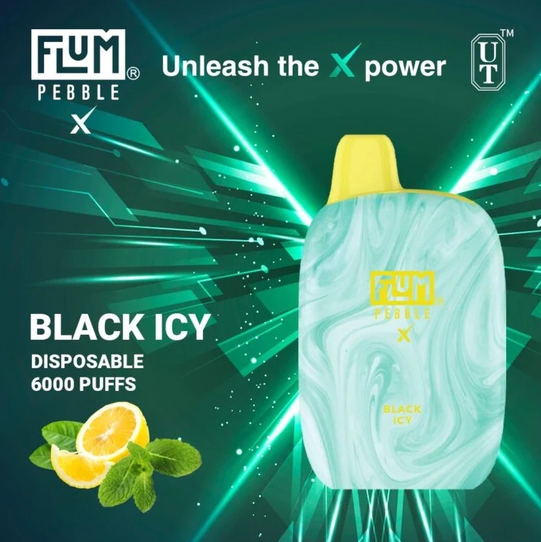 FLUM PEBBLES 6000 Puffs - 黒い氷：洗練された味わいと究極の携帯性、2025年日本のヴェイパーが求める逸品